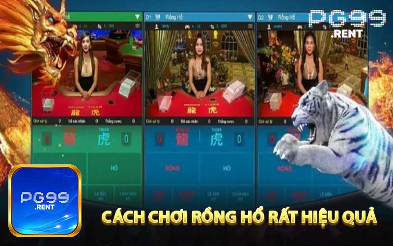 Cách chơi Rồng Hổ hiệu quả 