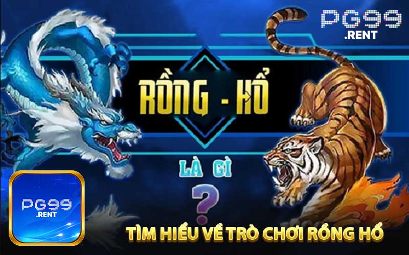 Tìm hiểu về nguồn gốc của trò chơi rồng hổ